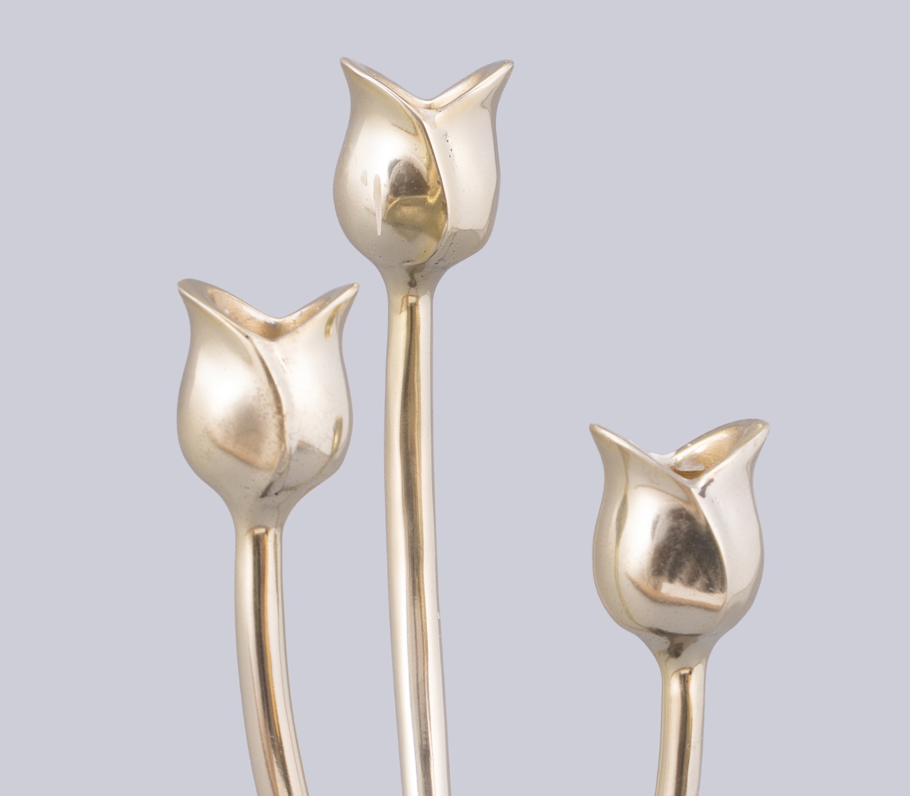 Tulip Taper Candle Holder