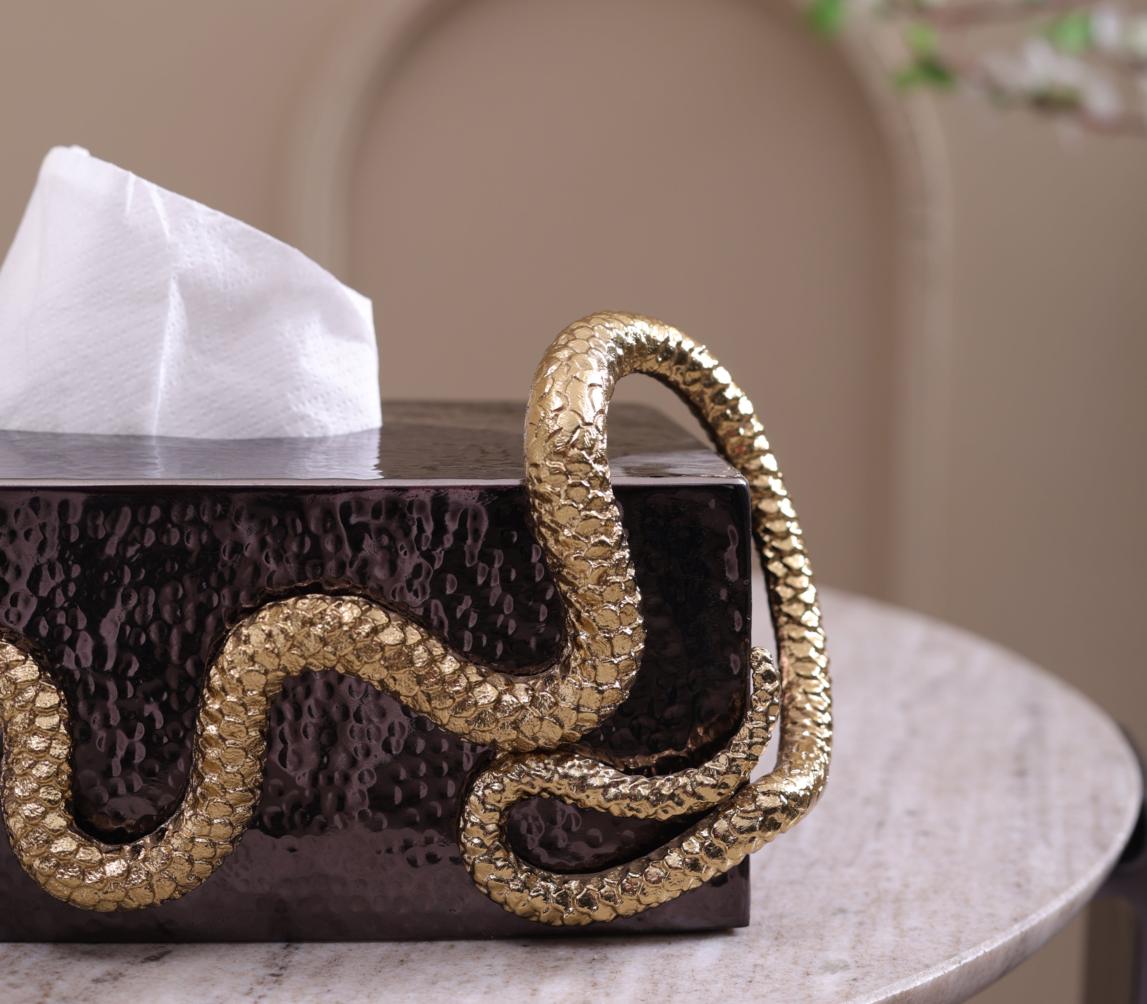 Serpentine Tissue Holder