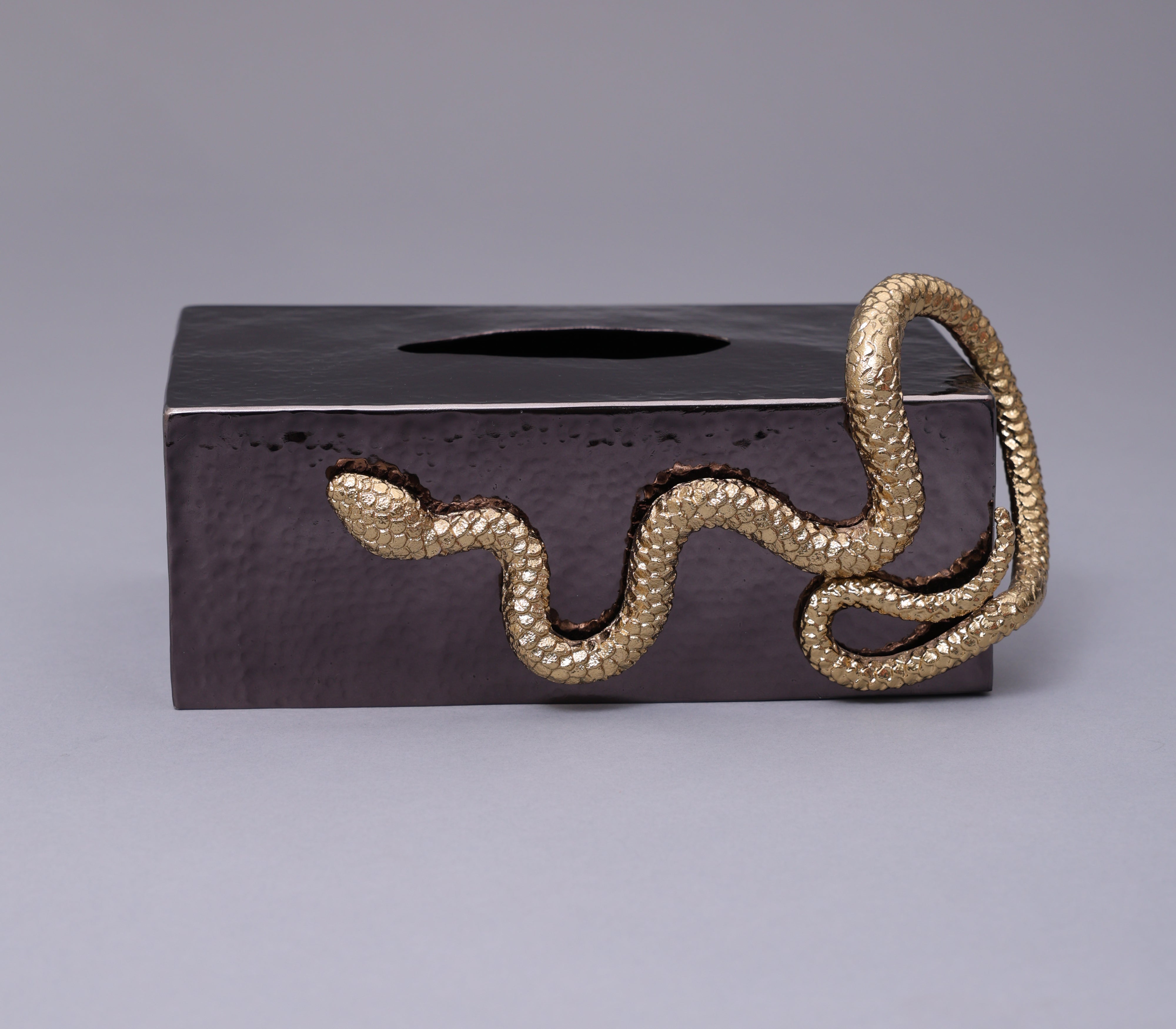 Serpentine Tissue Holder