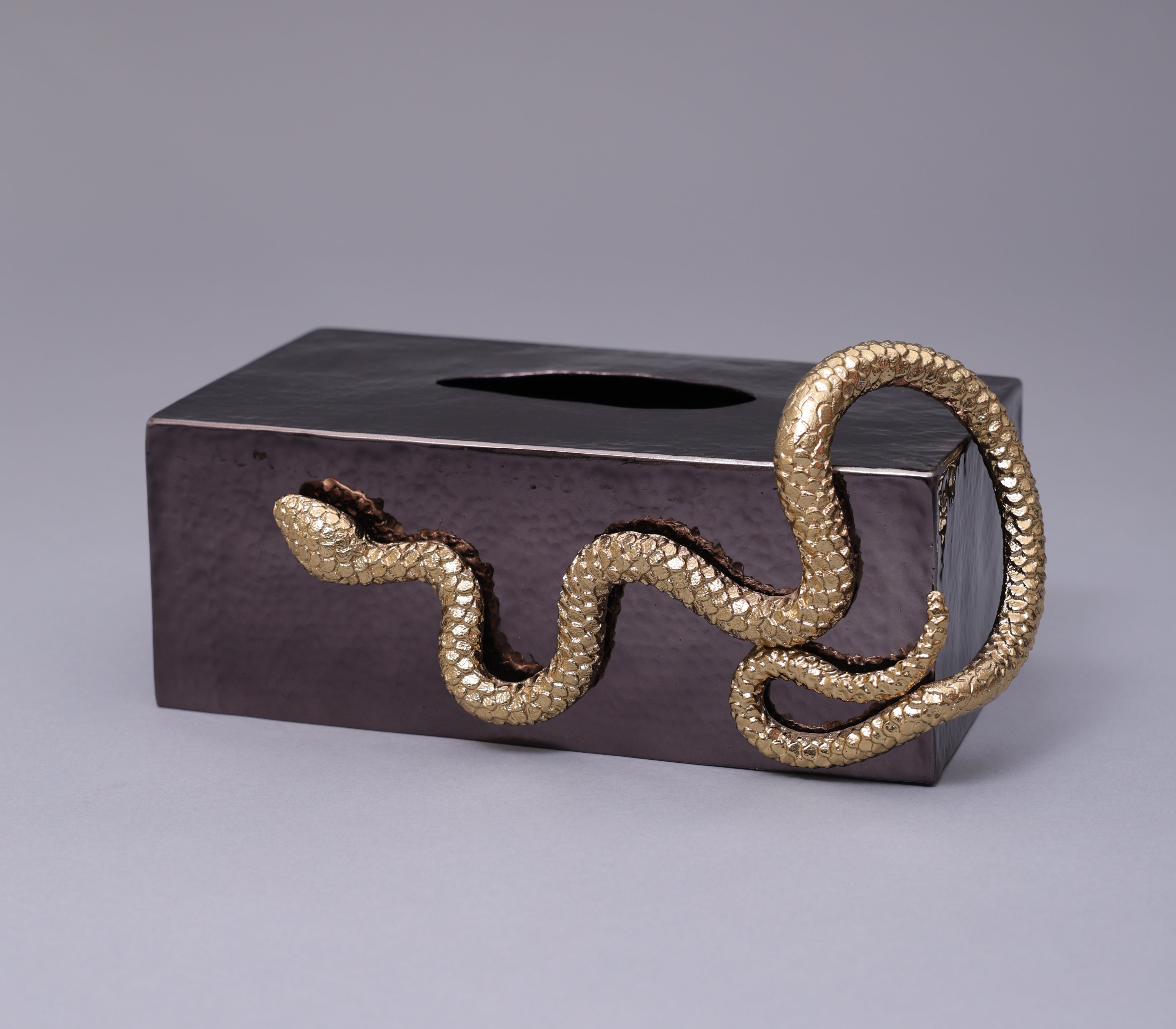 Serpentine Tissue Holder