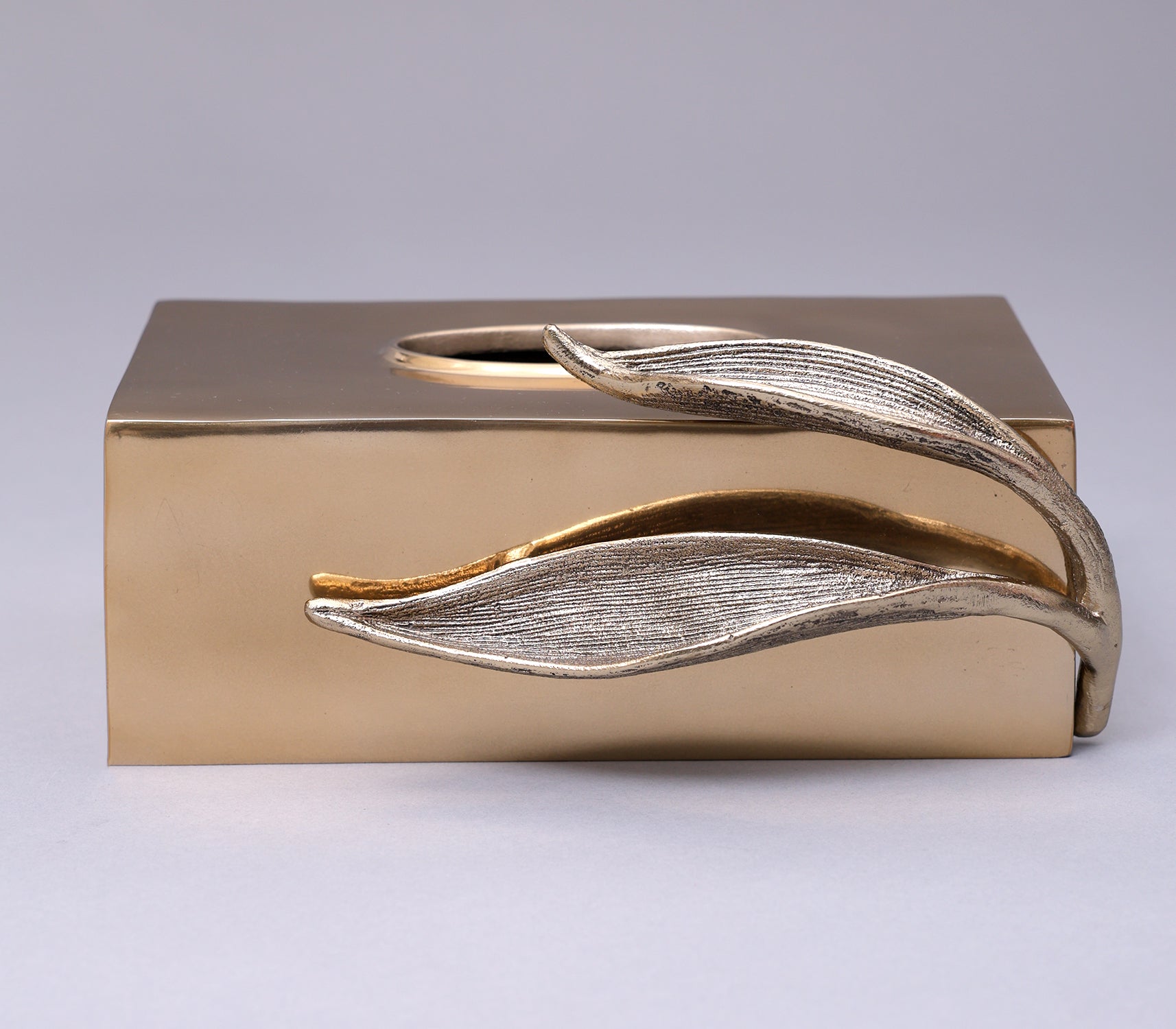 Enclosed Leaf Tissue Holder
