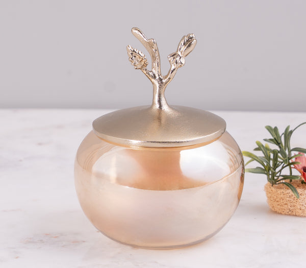 Tree of Life Cotton Jar