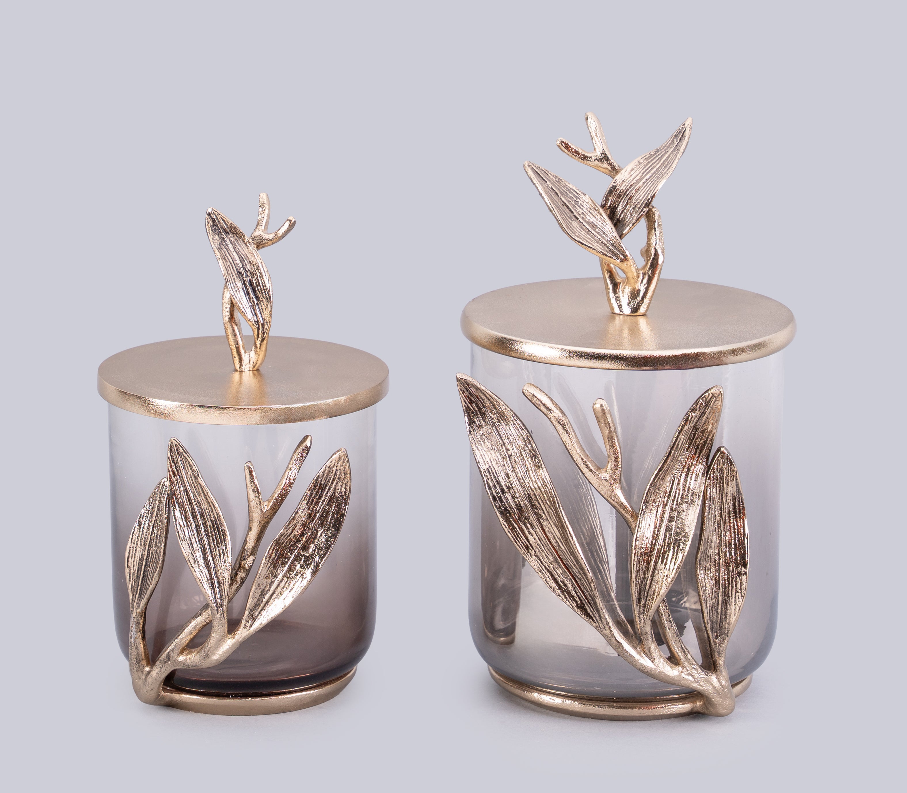 Verdant Embrace Jars