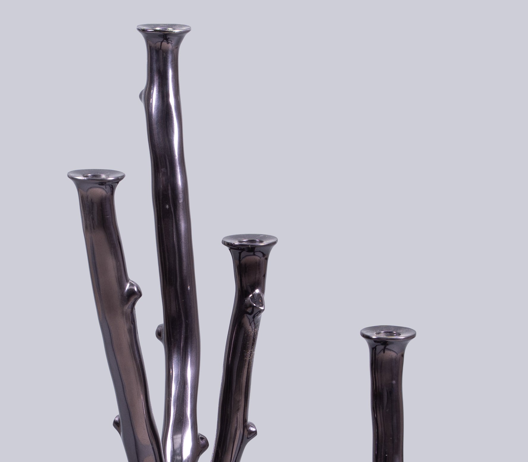 Aurora Branch Candle Holder
