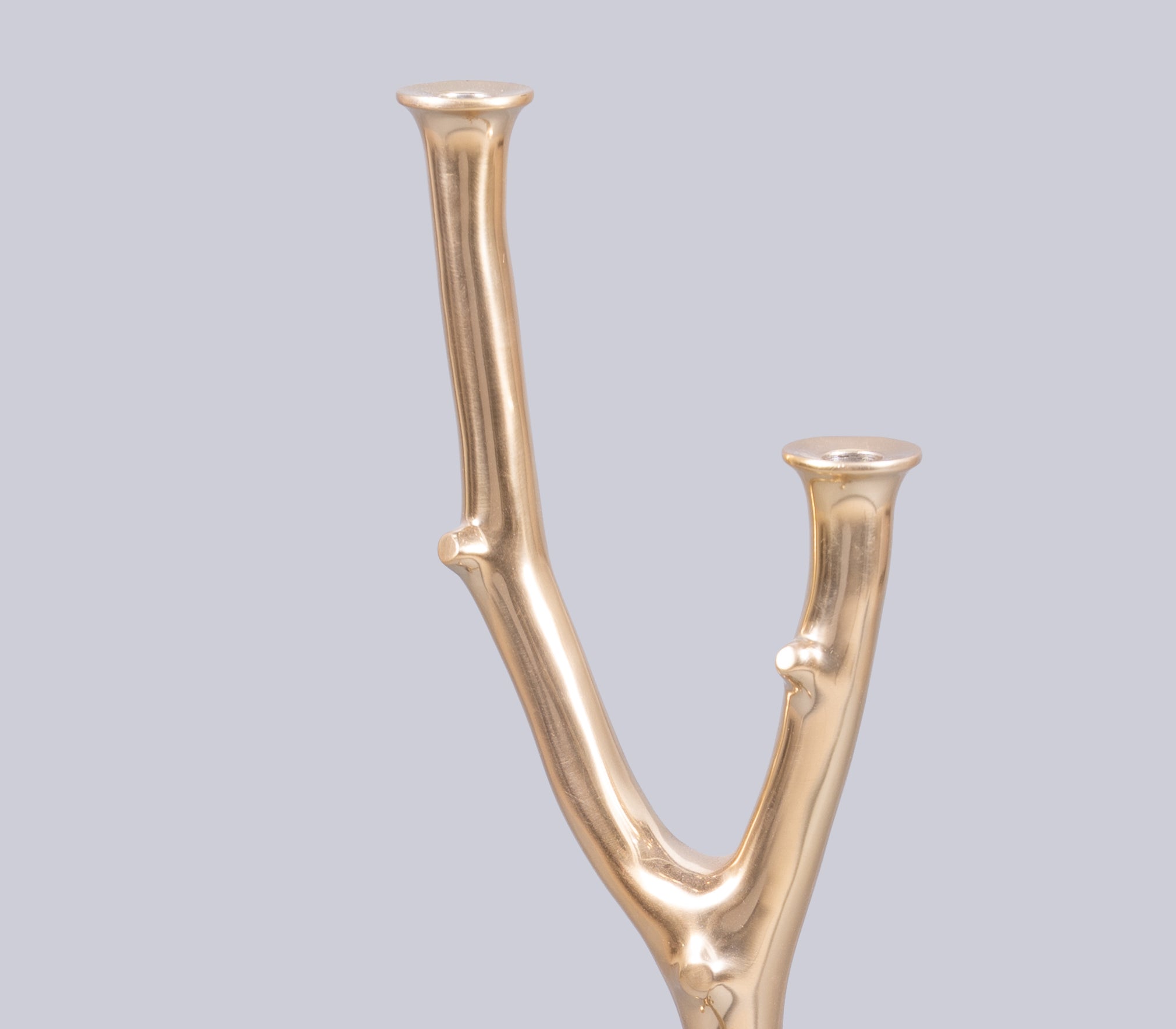 Eos Branch Candle Holder
