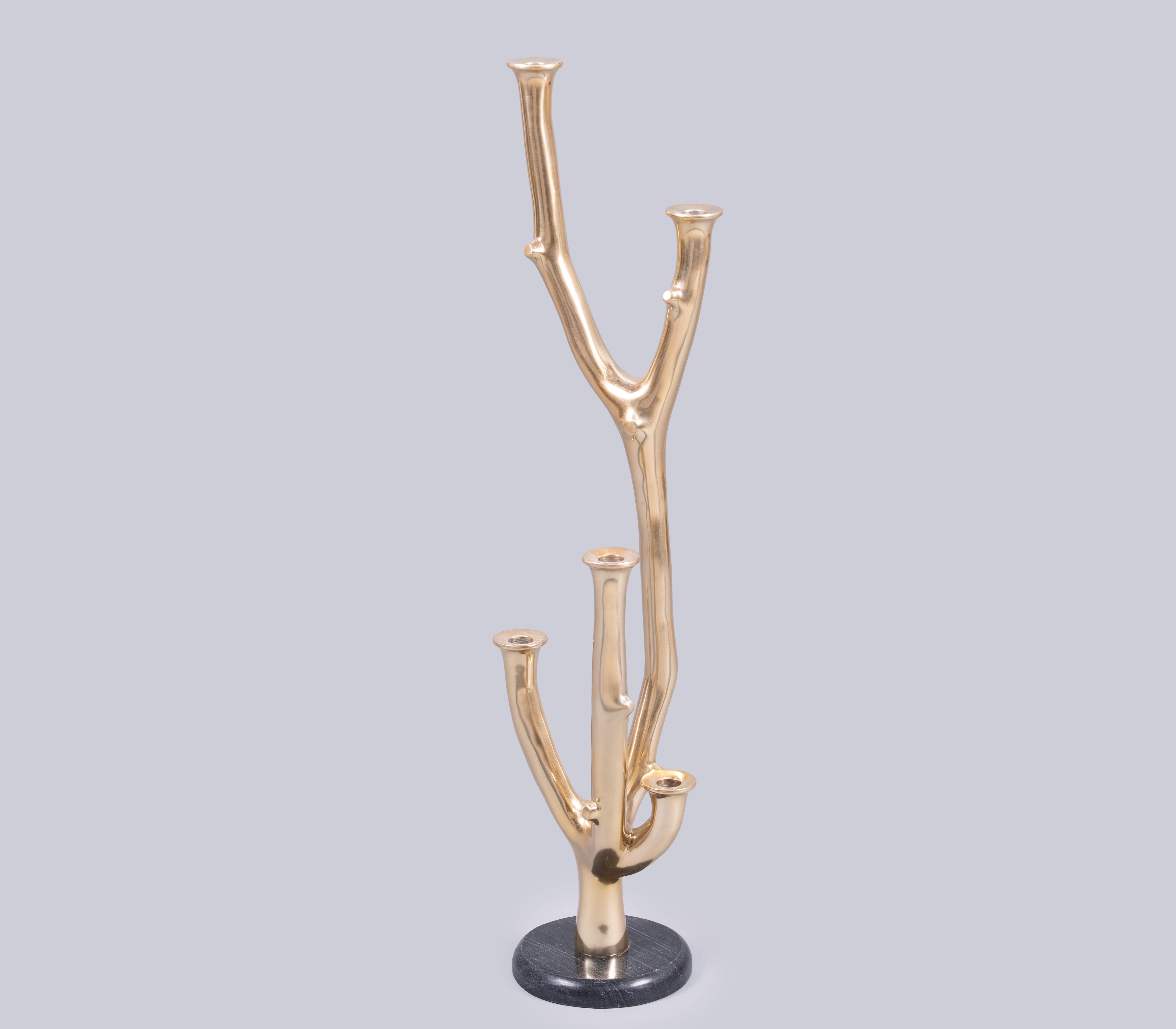 Eos Branch Candle Holder