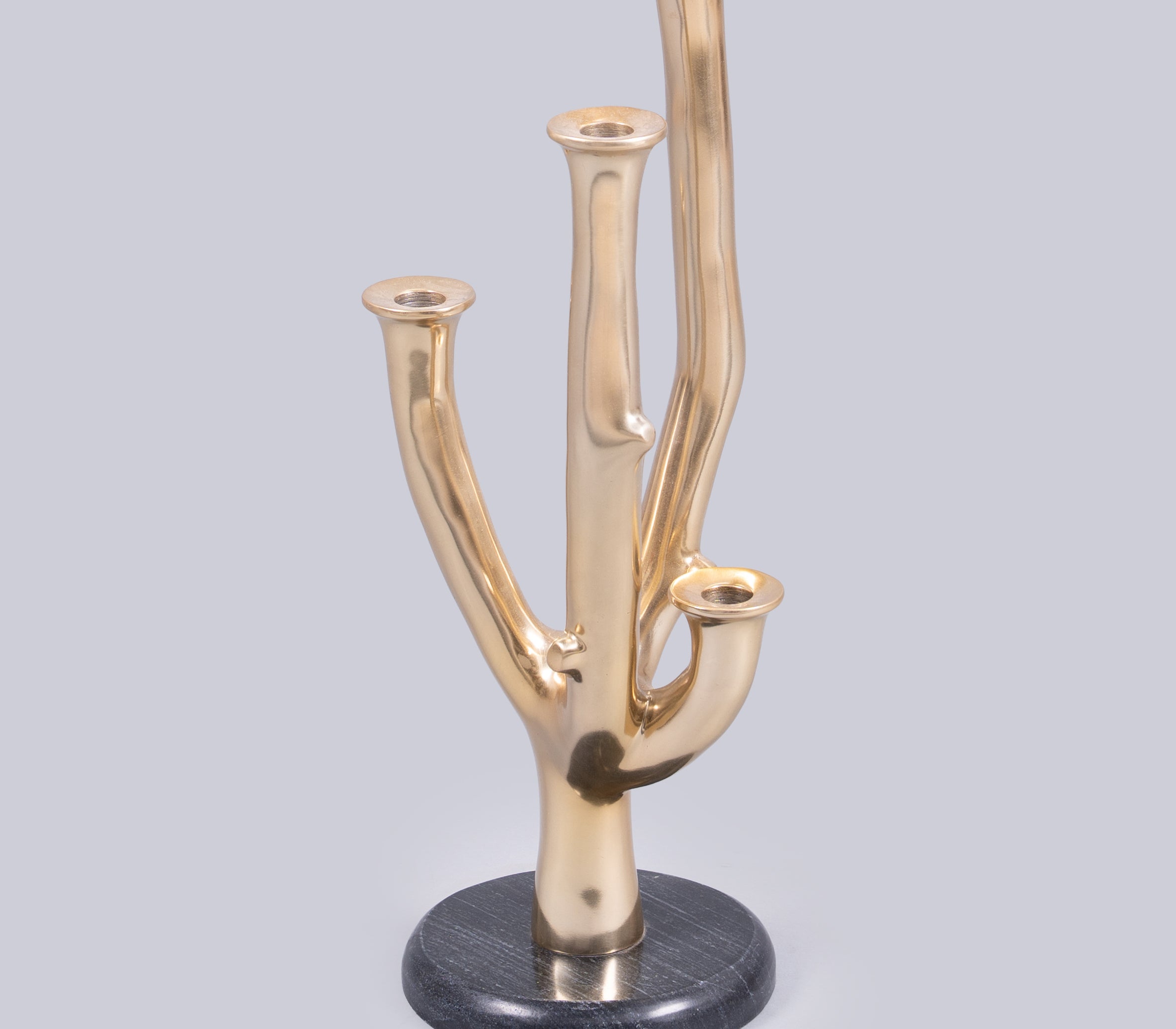 Eos Branch Candle Holder