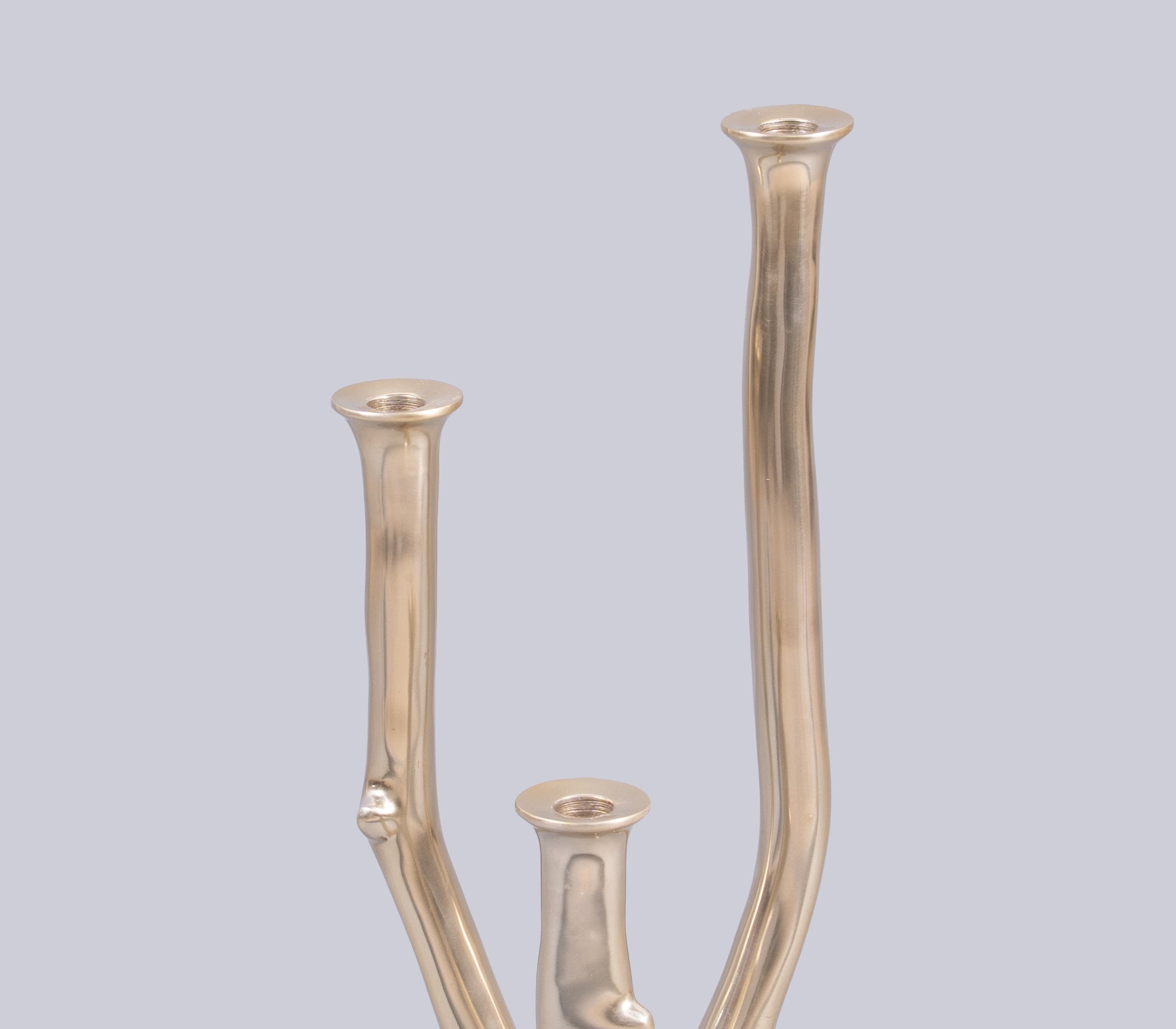 Eos Branch Candle Holder