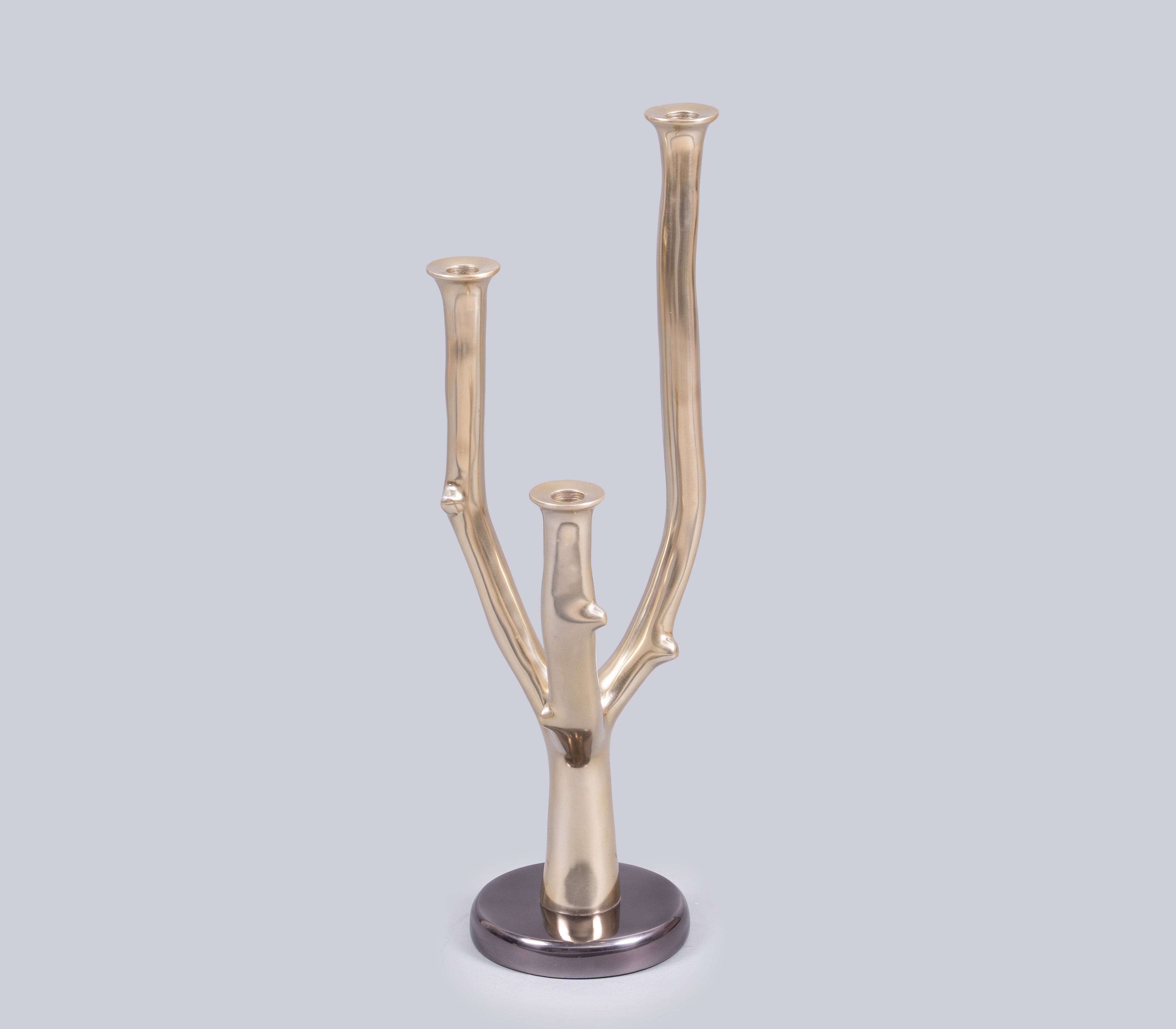 Eos Branch Candle Holder