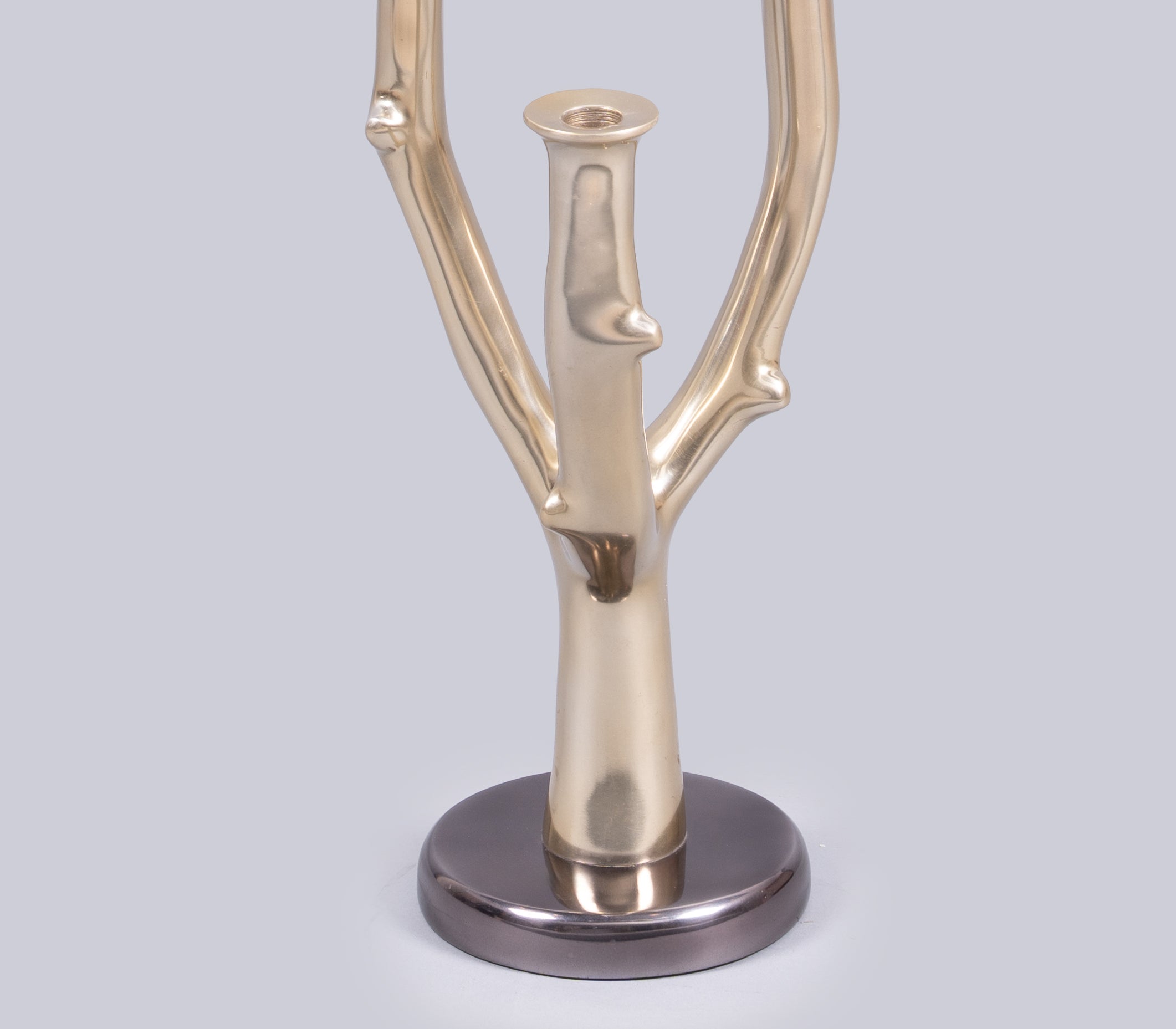 Eos Branch Candle Holder
