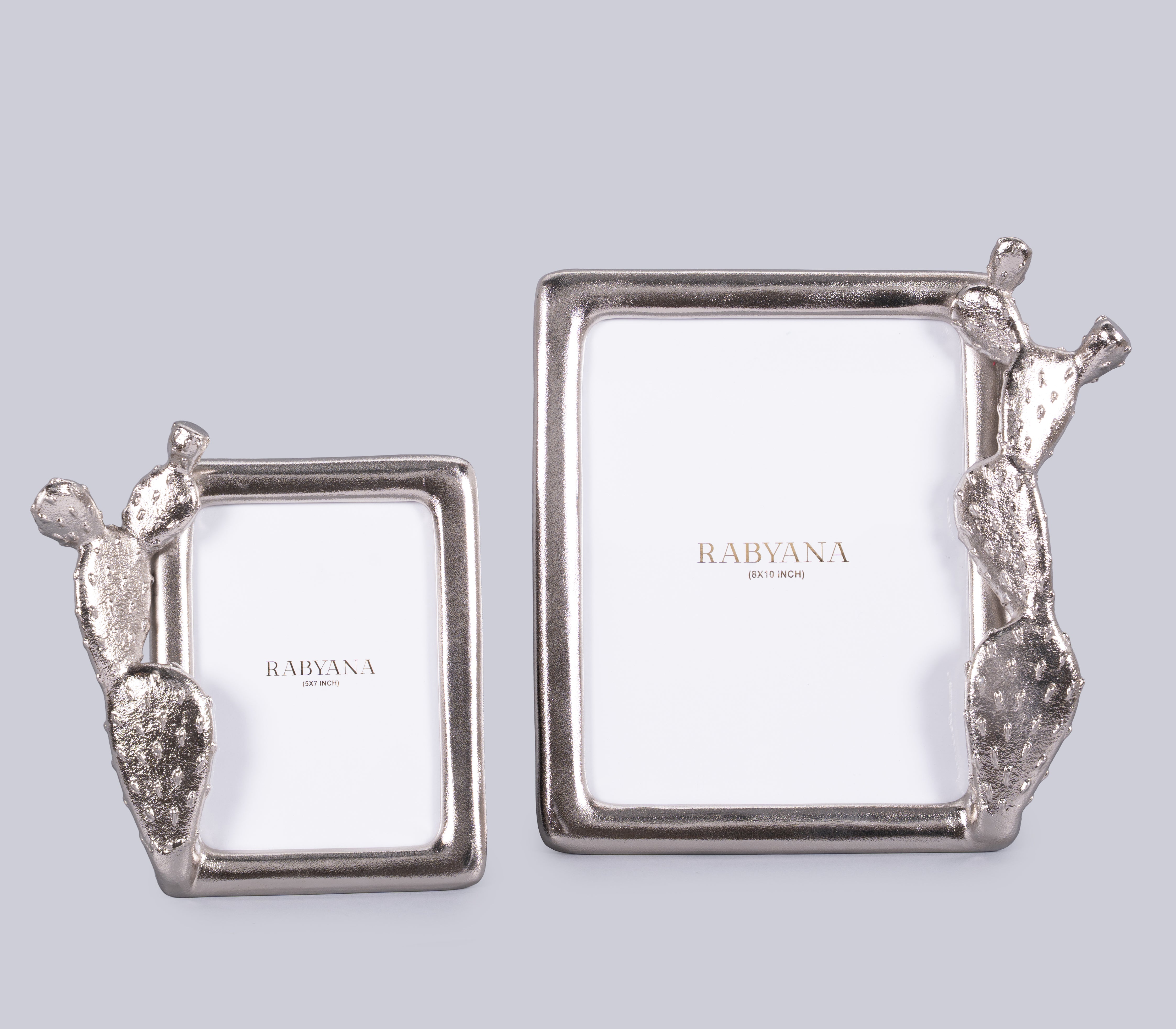 Cacti Photo Frame