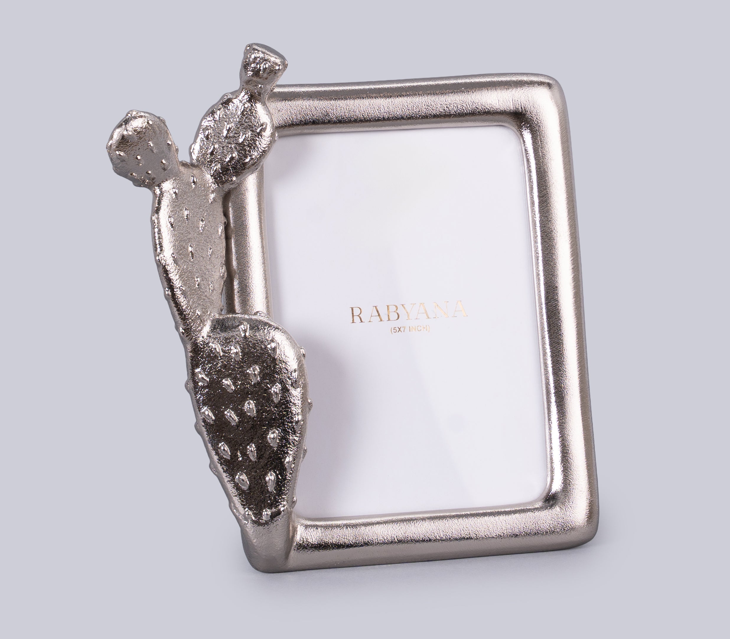 Cacti Photo Frame