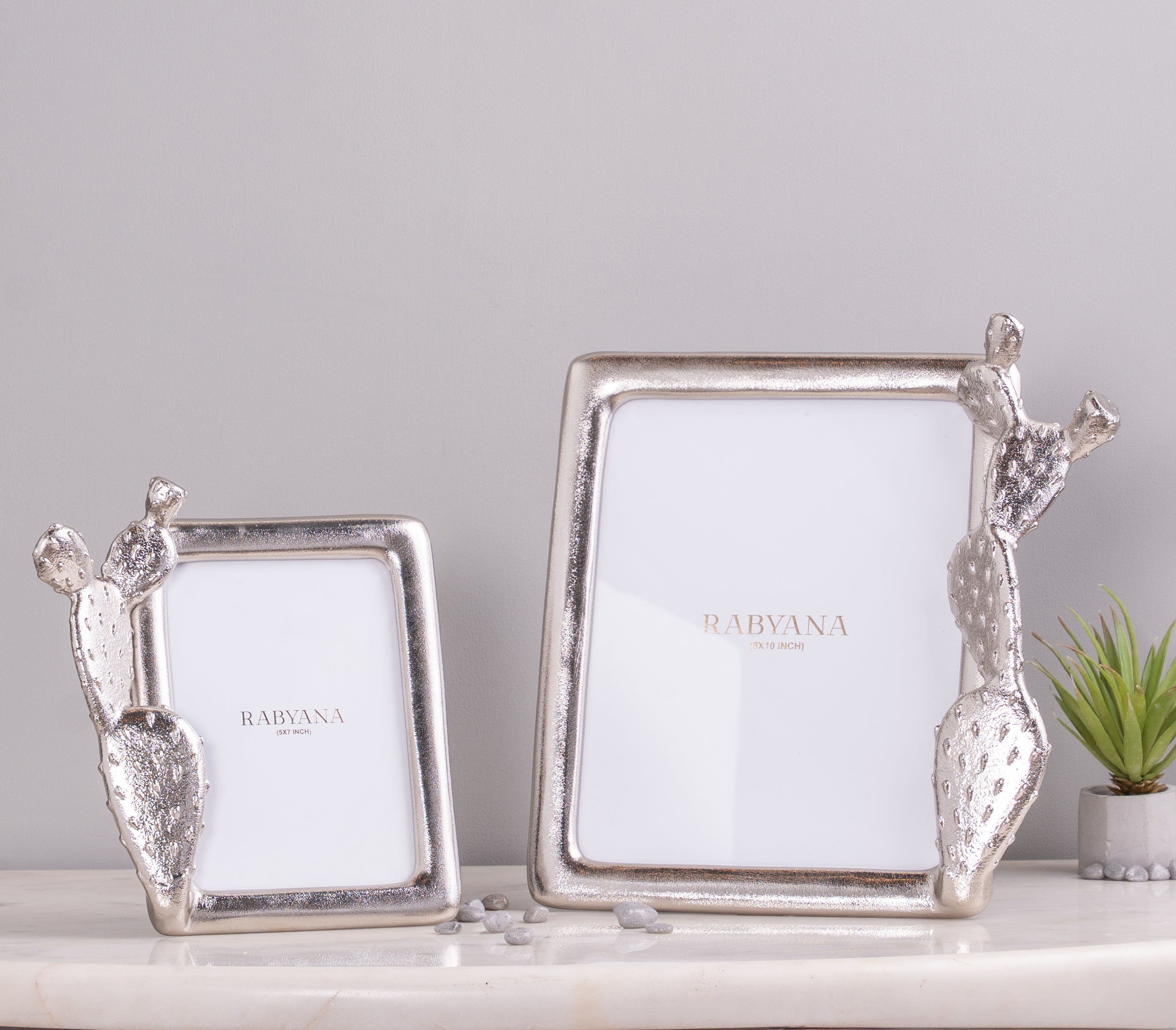 Cacti Photo Frame