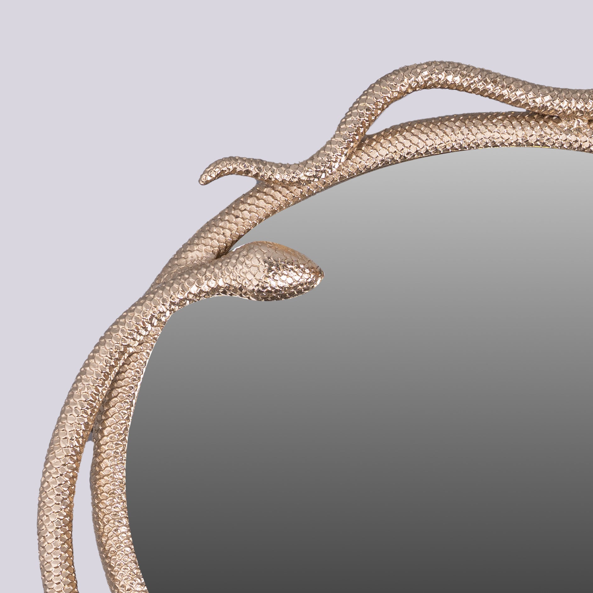 SERPENTINE MIRROR