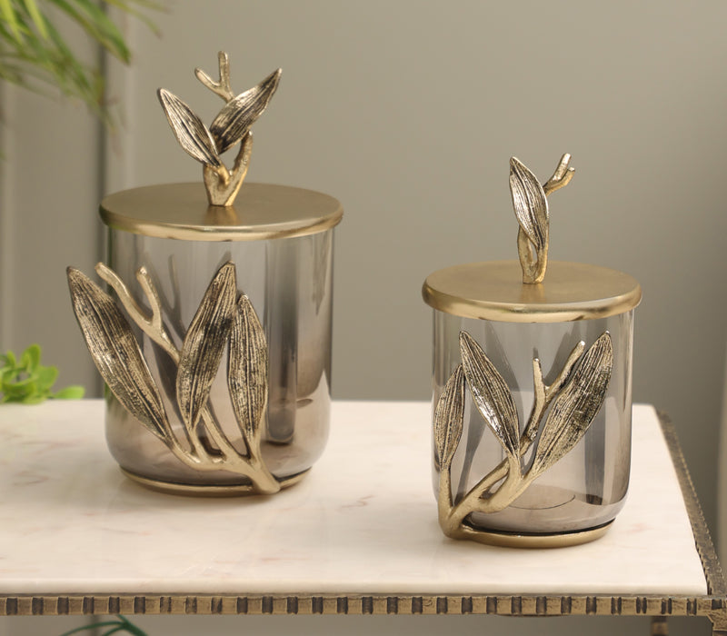 Verdant Embrace Jars