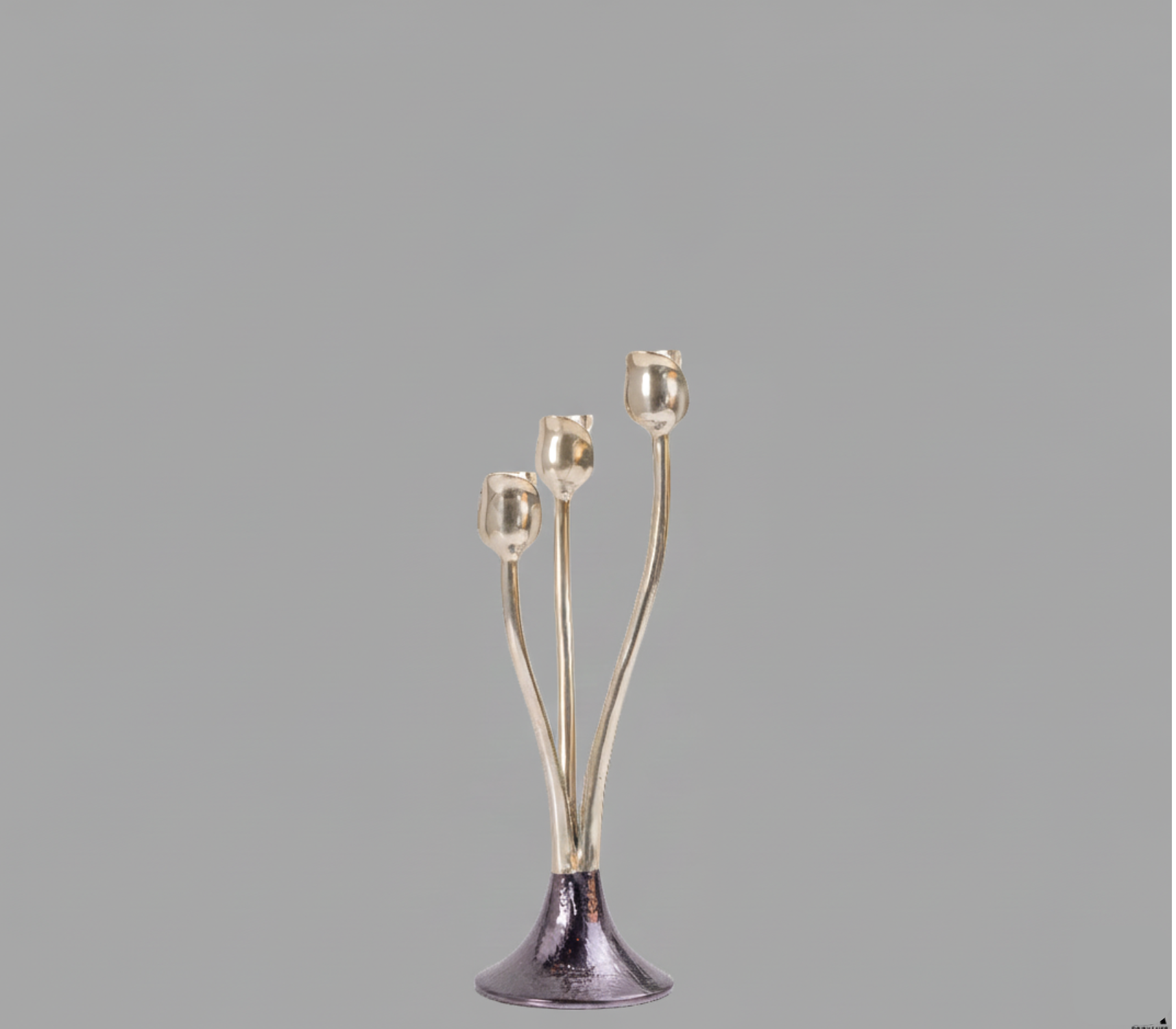 Tulip Taper Candle Holder