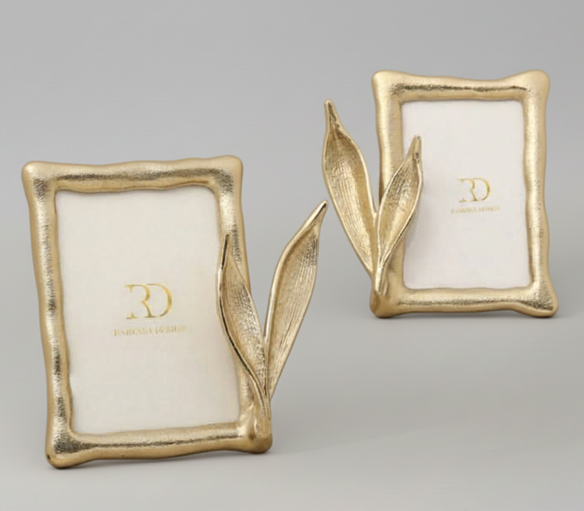 Enclosed Leaf Photo Frame | Leaf Frames Pictures – Rabyana Design