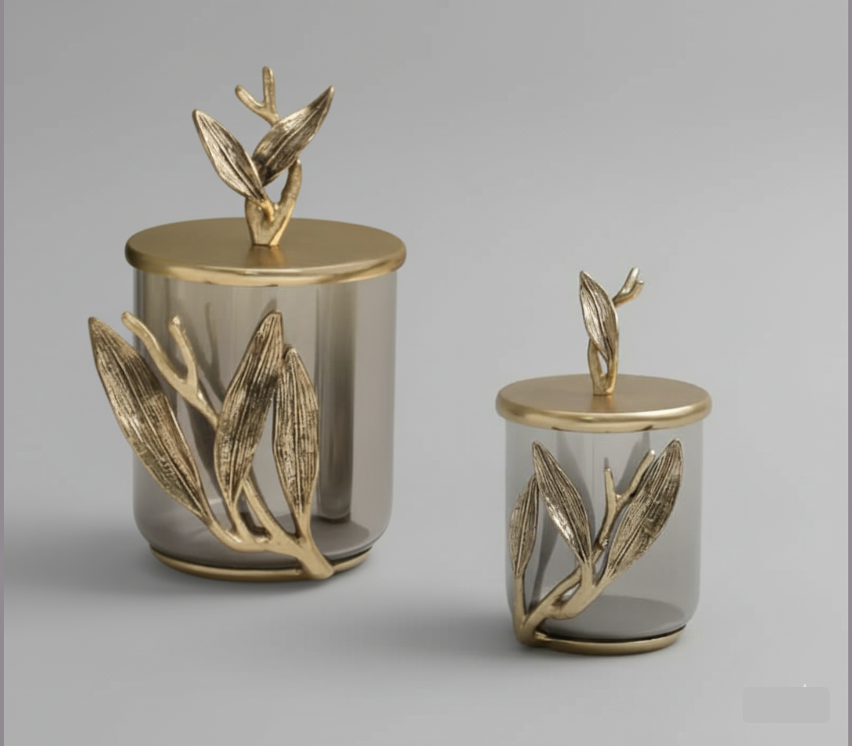 Verdant Embrace Jars