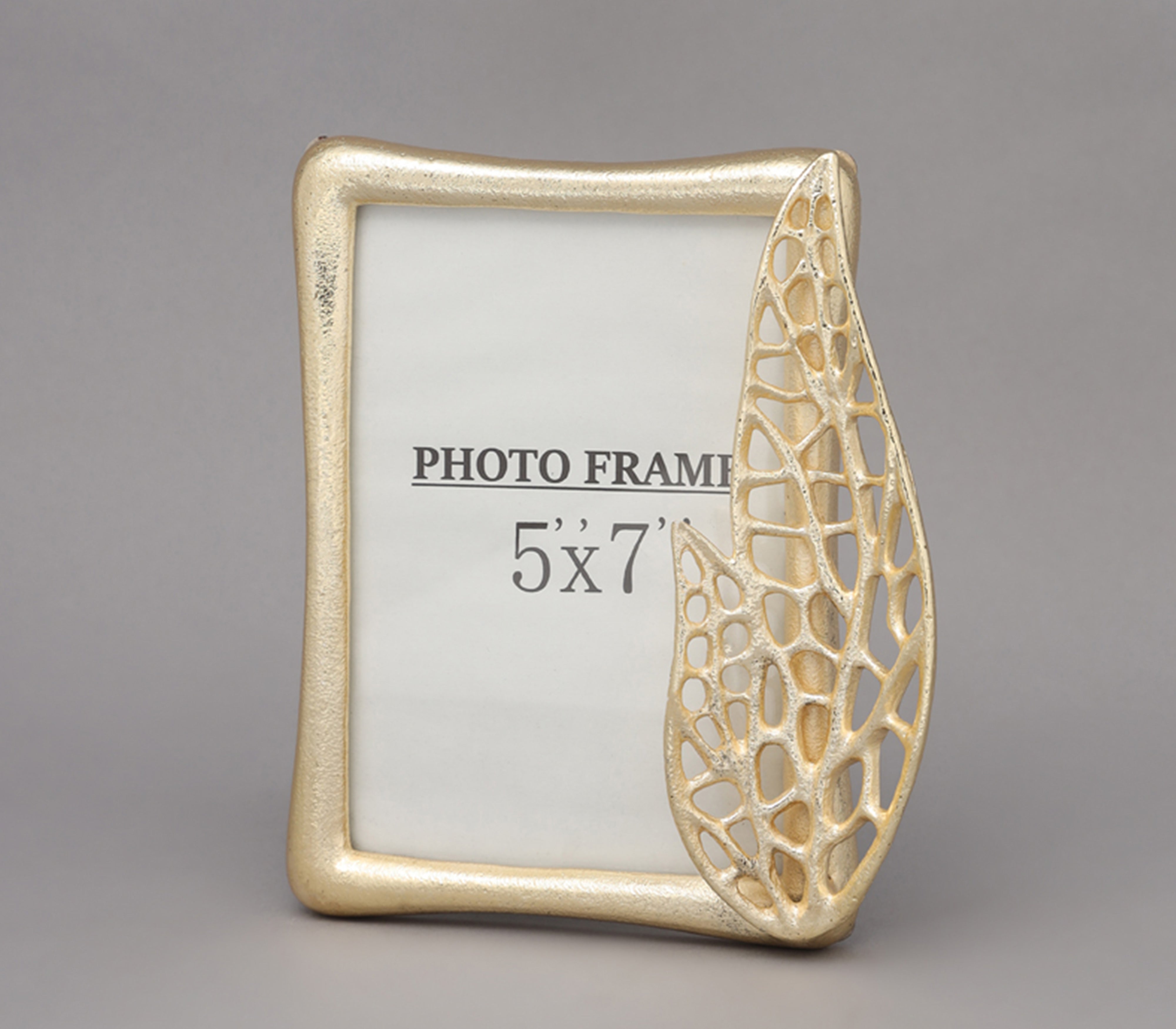 Xylem Photo Frame ( 5" x 7")